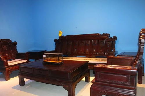 便宜到哭 從廣東來了一批家具,濮陽人要搶瘋啦